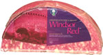 Red Windsor